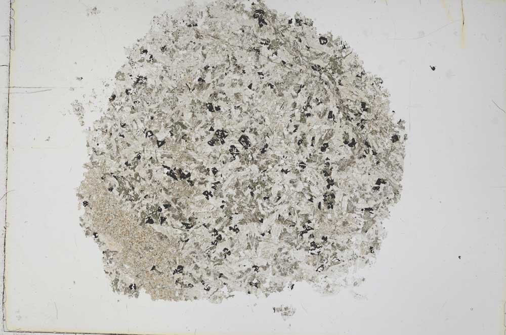 Plane Polarized, S43151