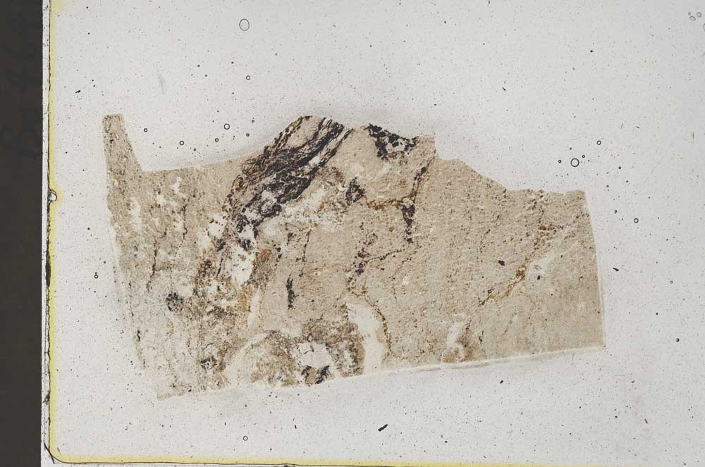 Plane Polarized, S43161
