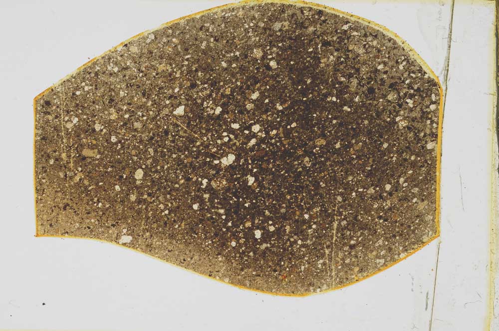 Plane Polarized, S43166