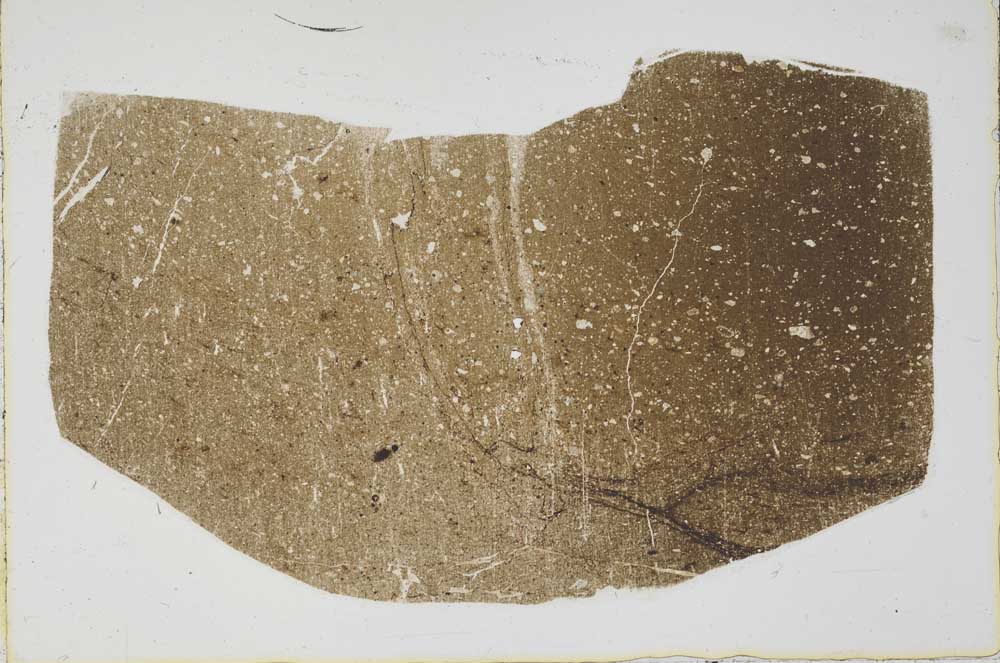 Plane Polarized, S43167