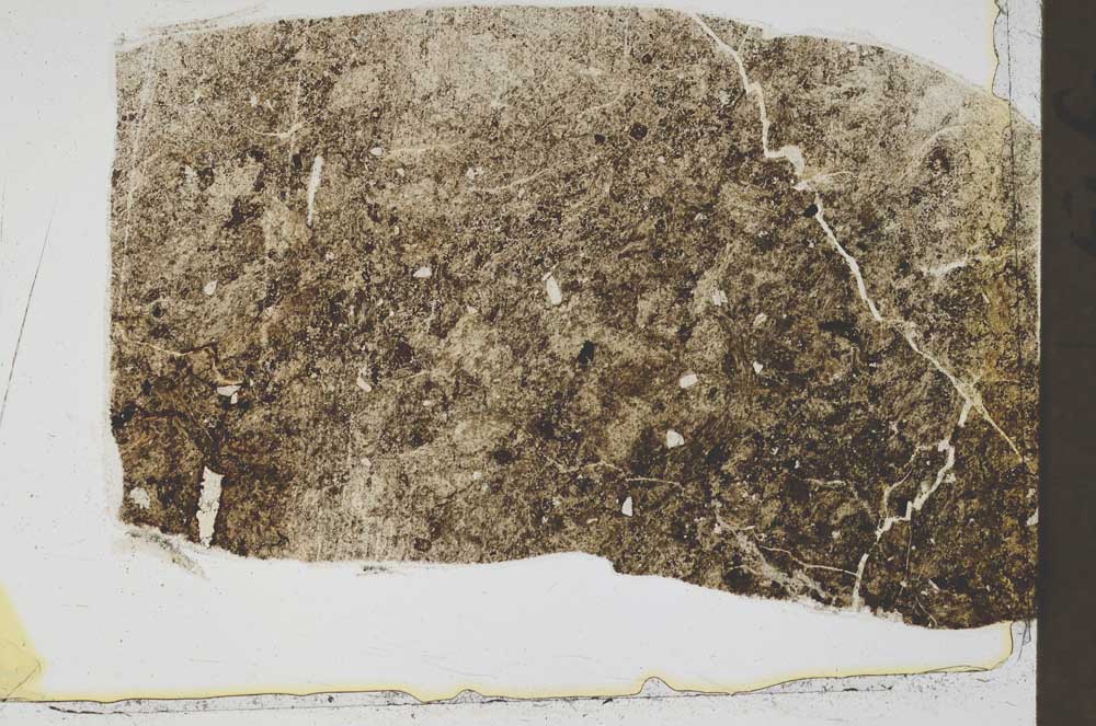 Plane Polarized, S43172