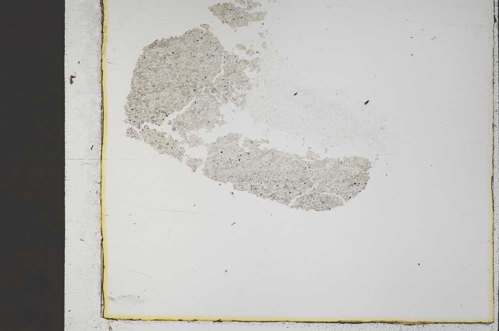 Plane Polarized, S43216