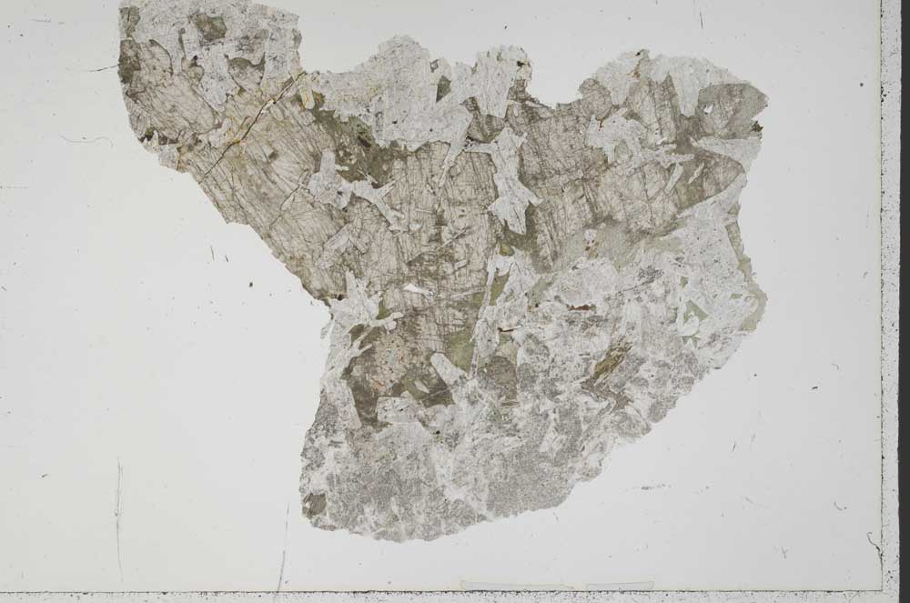 Plane Polarized, S43239