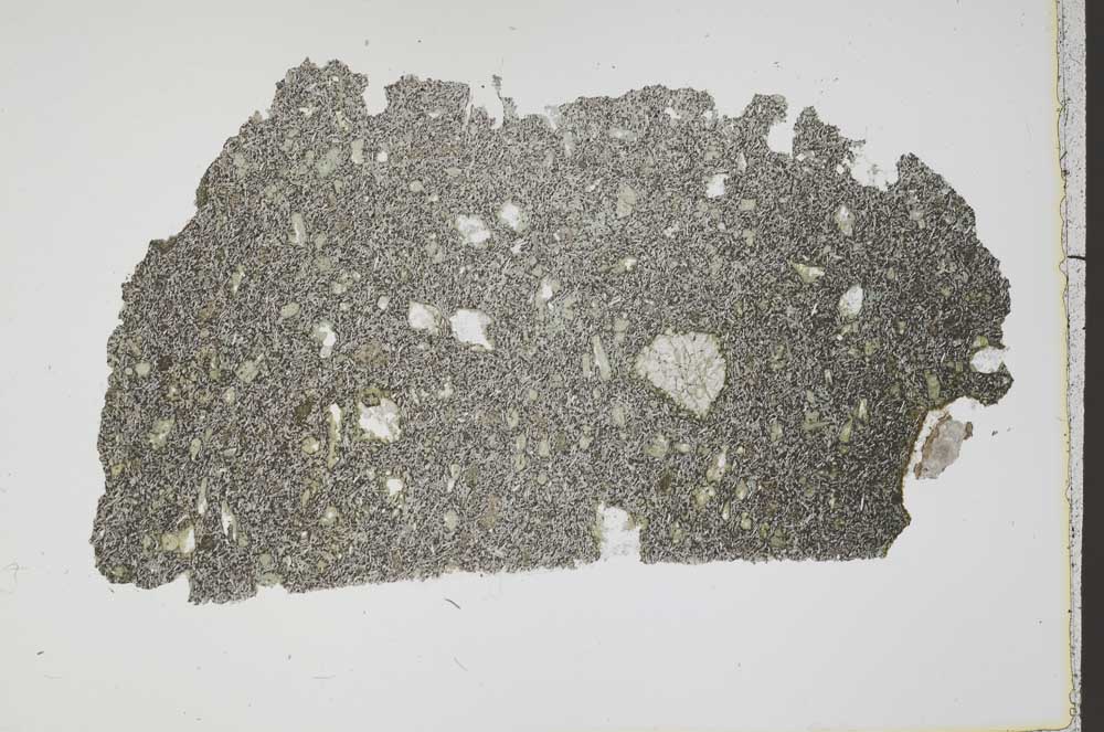 Plane Polarized, S43251