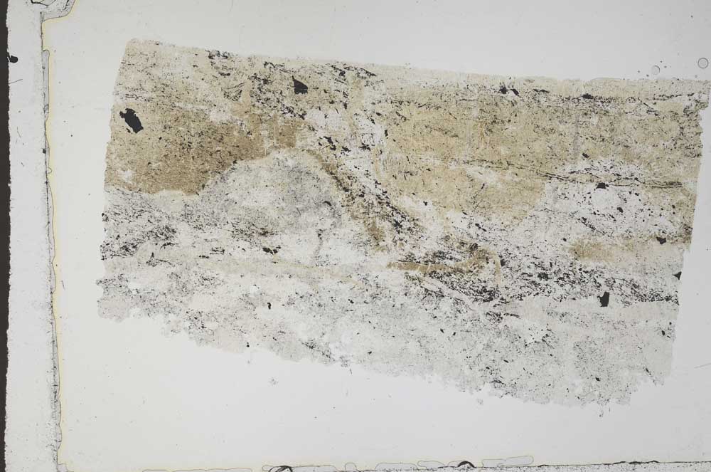 Plane Polarized, S43271