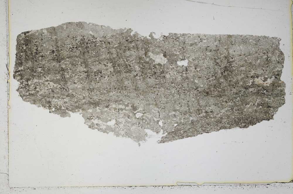 Plane Polarized, S43272