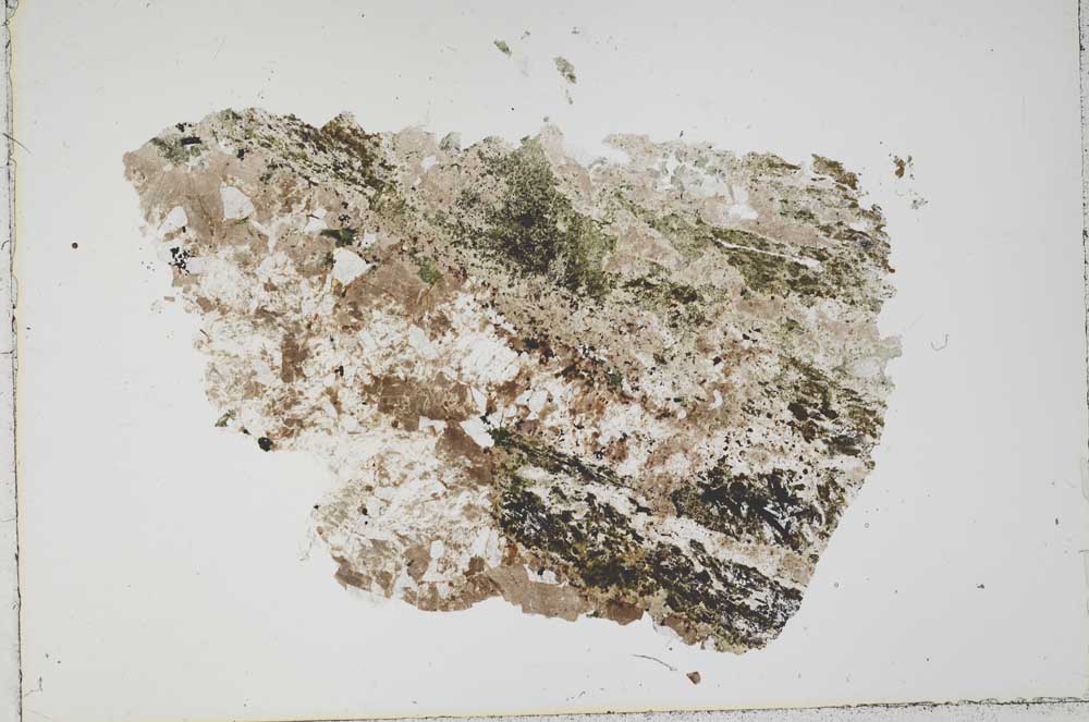 Plane Polarized, S43278