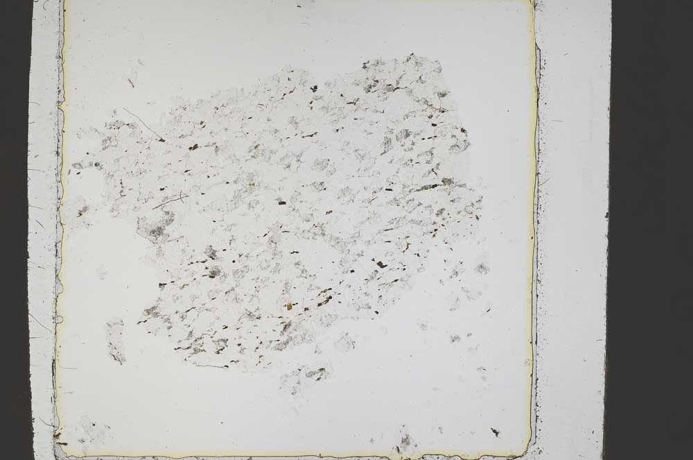 Plane Polarized, S43294