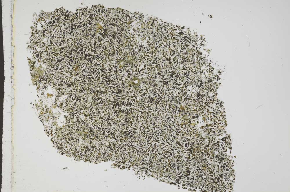 Plane Polarized, S43316