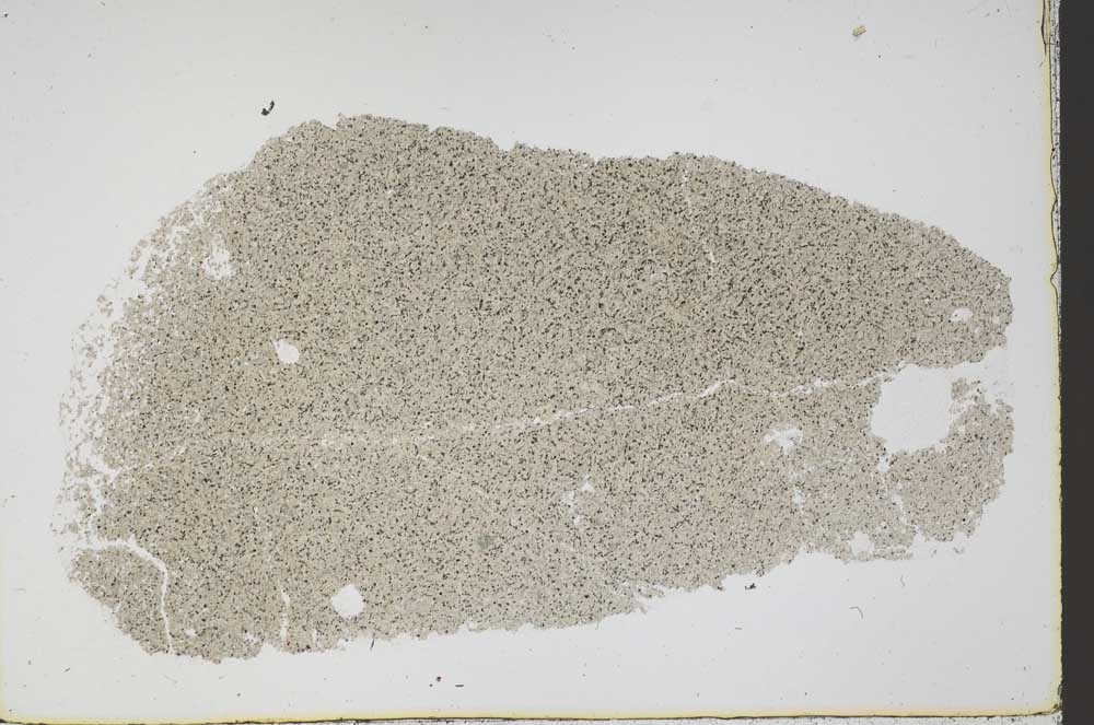 Plane Polarized, S43428