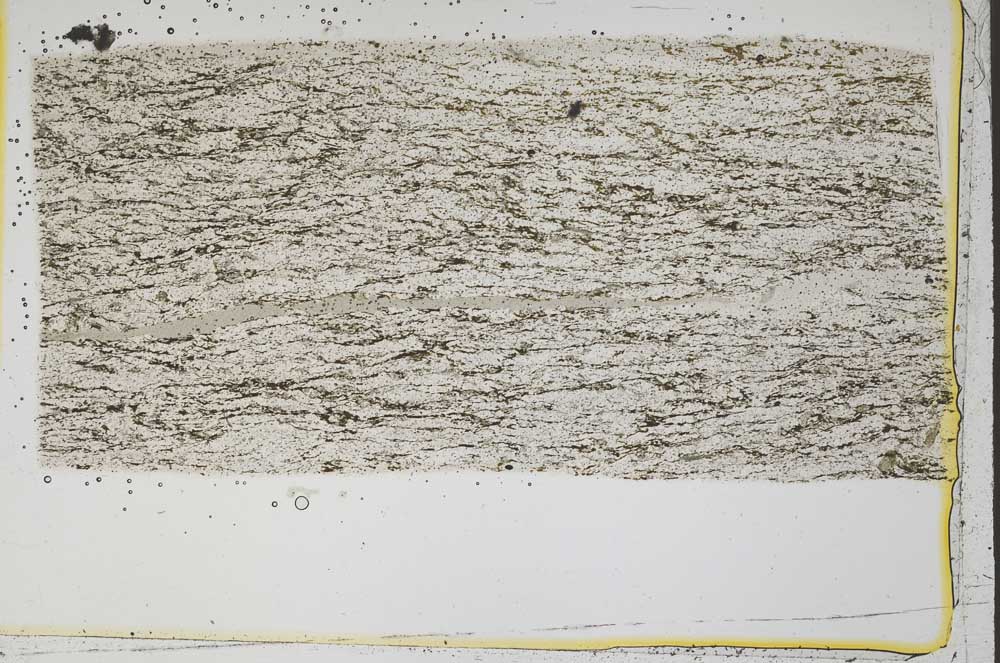 Plane Polarized, S43430