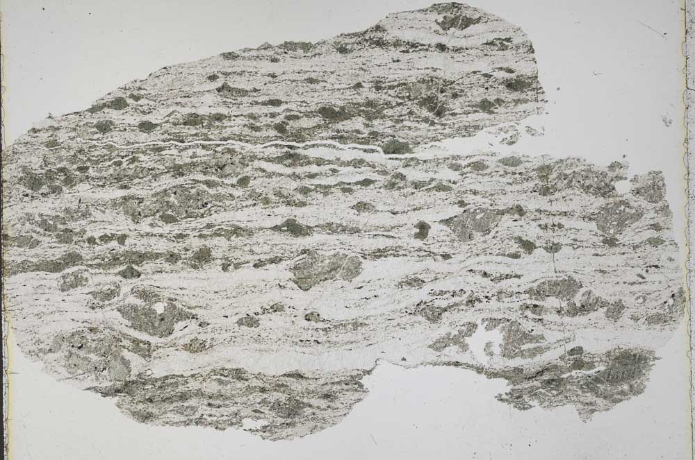 Plane Polarized, S43438