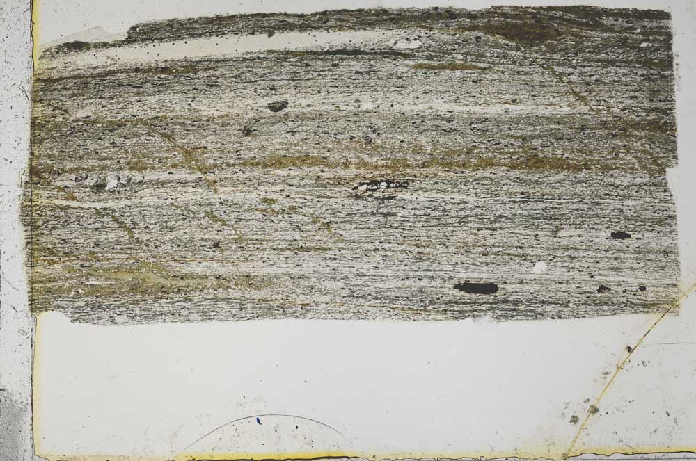 Plane Polarized, S43440