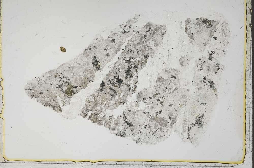 Plane Polarized, S43472