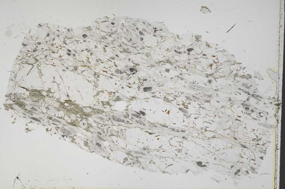 Plane Polarized, S43485