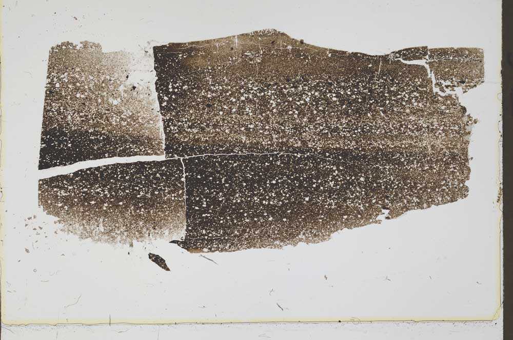 Plane Polarized, S43497