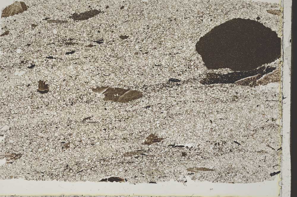 Plane Polarized, S43502