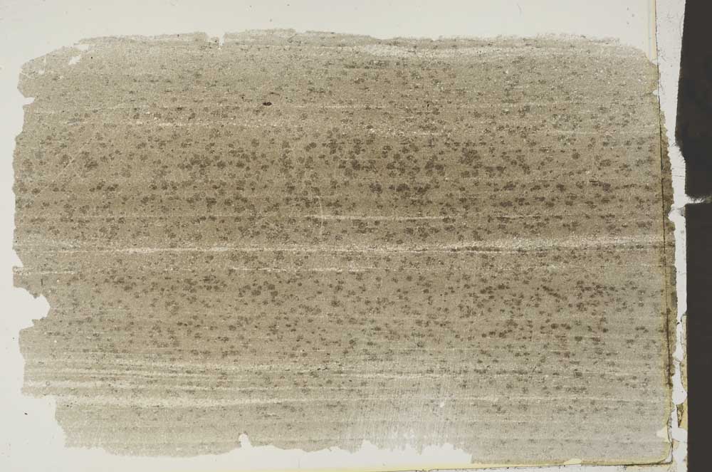Plane Polarized, S43506