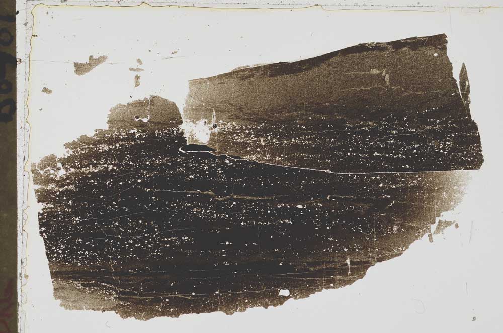 Plane Polarized, S43538
