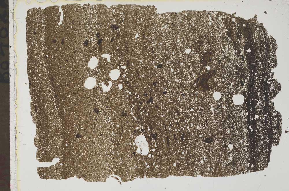 Plane Polarized, S43541