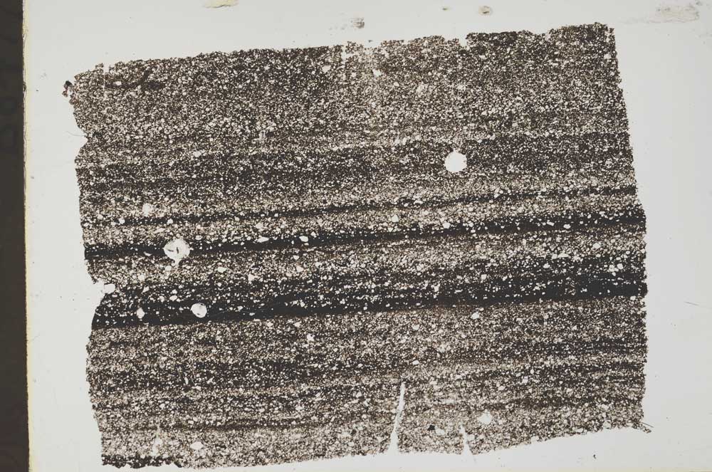Plane Polarized, S43557