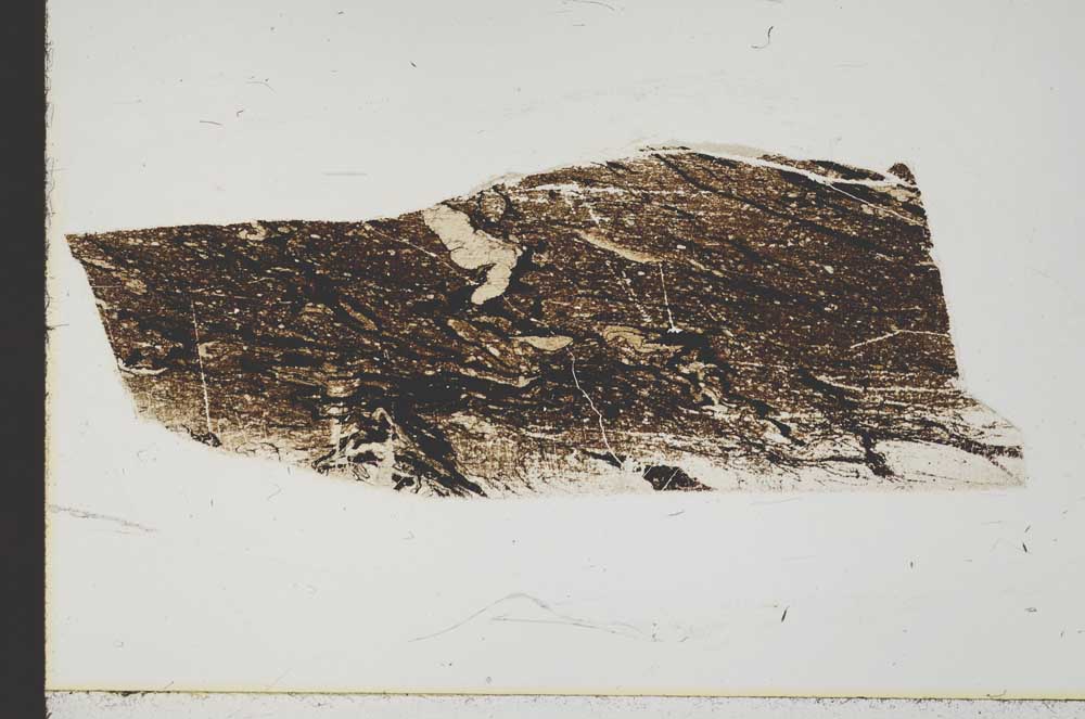 Plane Polarized, S43558