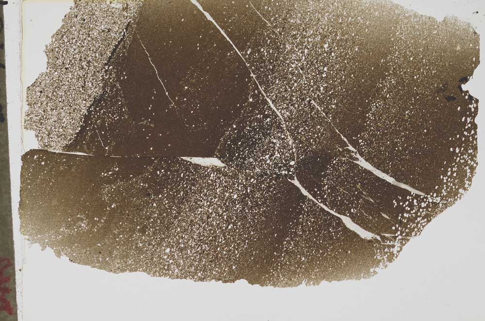 Plane Polarized, S43562