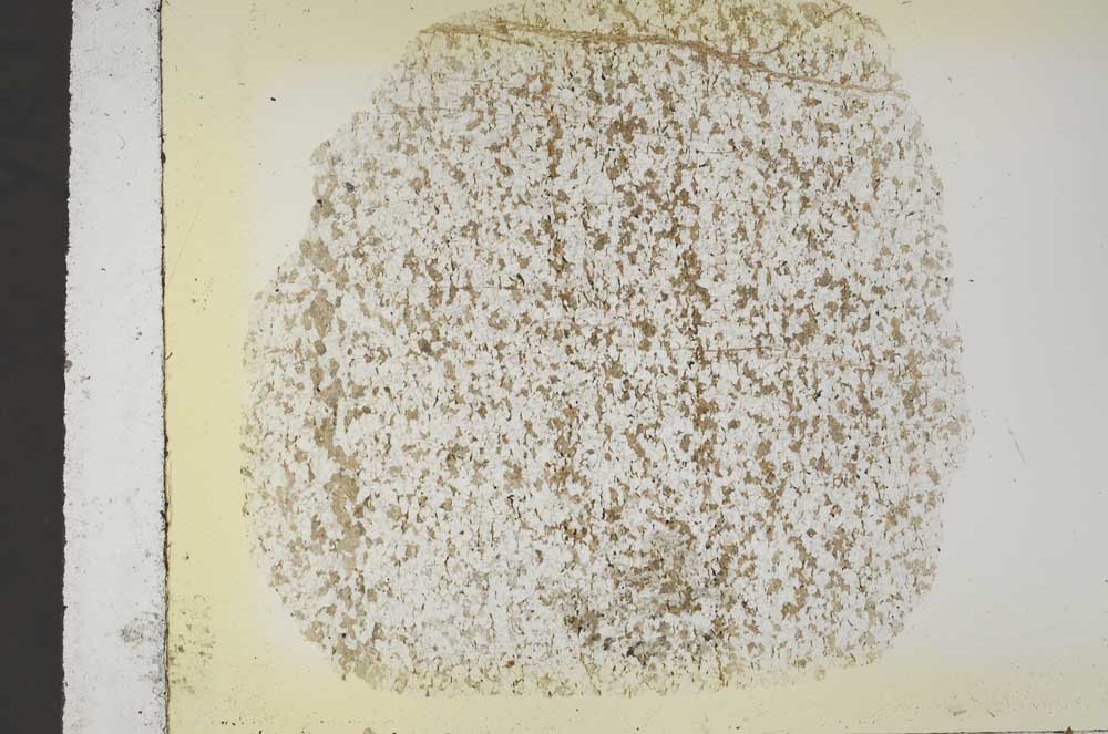 Plane Polarized, S43575