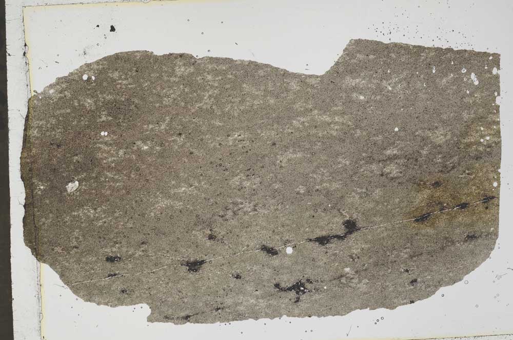 Plane Polarized, S43629