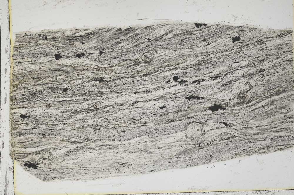 Plane Polarized, S43644