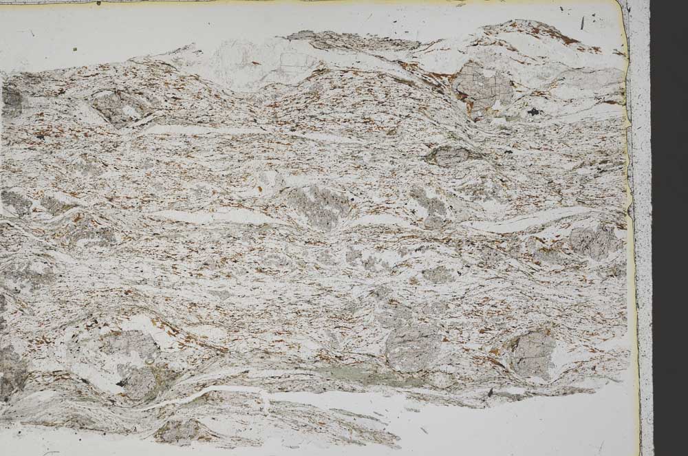 Plane Polarized, S43645