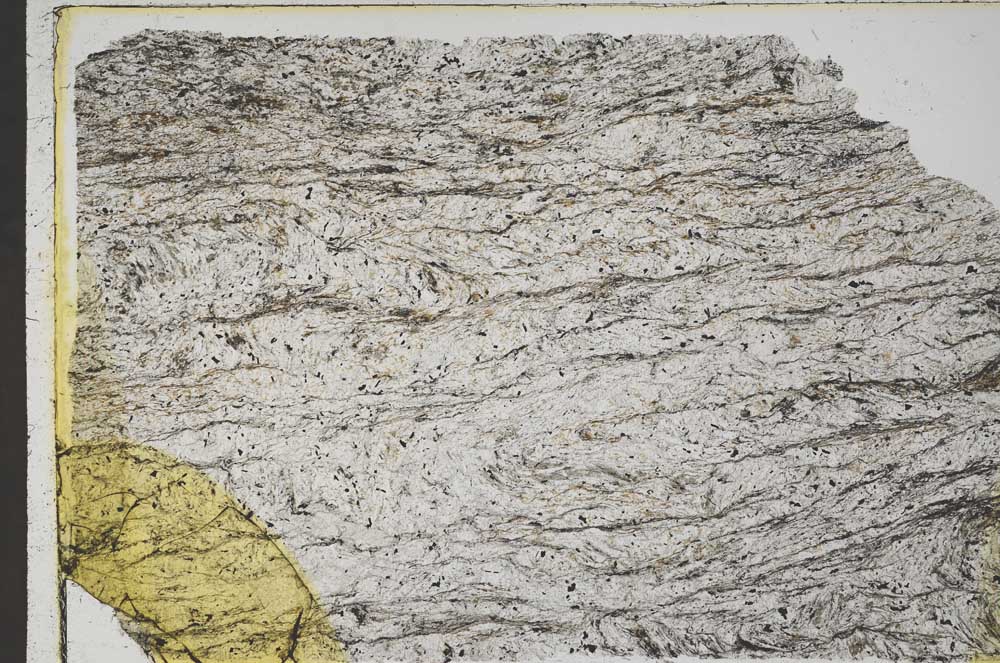 Plane Polarized, S43648