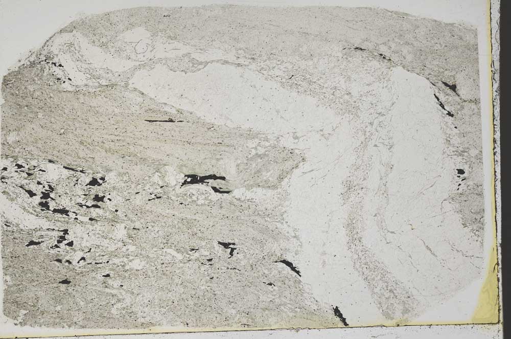 Plane Polarized, S43650