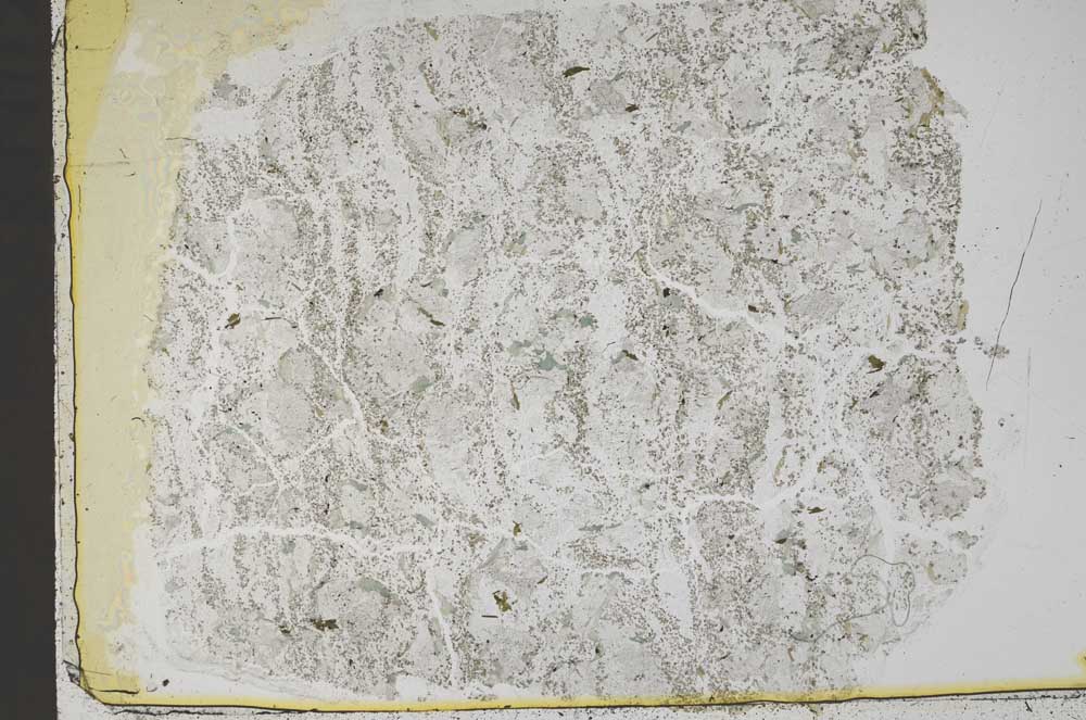 Plane Polarized, S43652