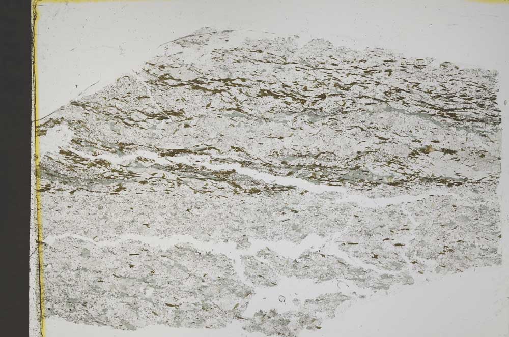 Plane Polarized, S43653