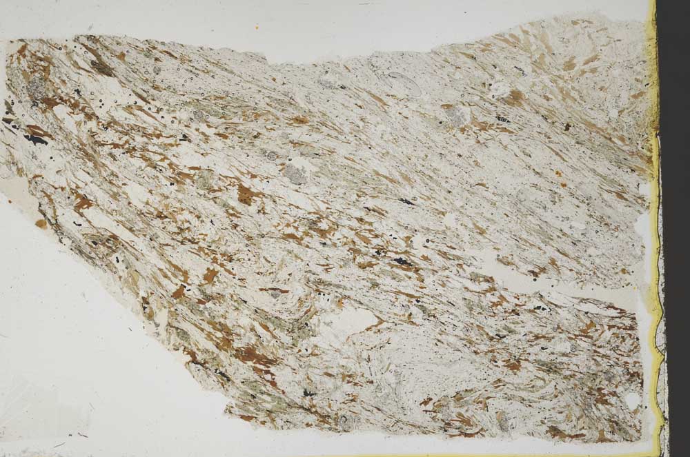 Plane Polarized, S43673