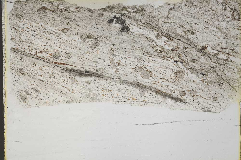 Plane Polarized, S43674