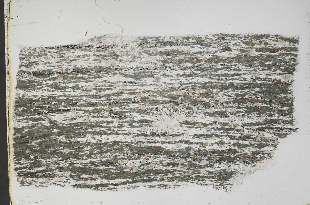 Plane Polarized, S43677