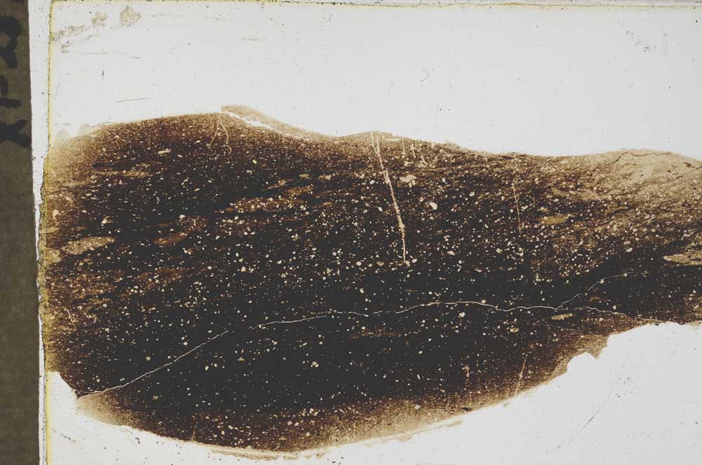 Plane Polarized, S43679