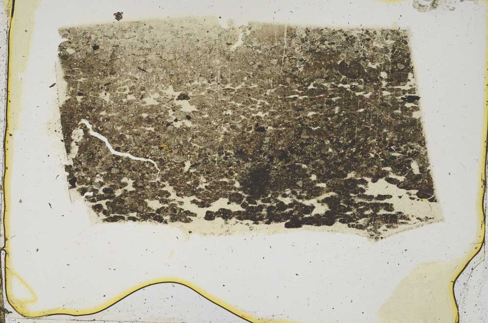 Plane Polarized, S43685