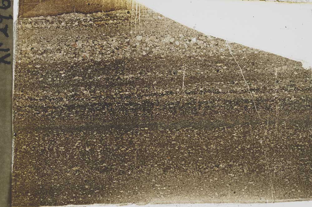 Plane Polarized, S43686
