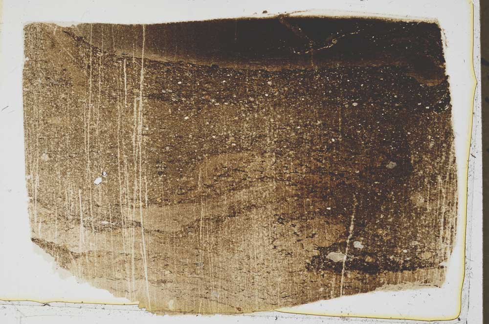 Plane Polarized, S43690