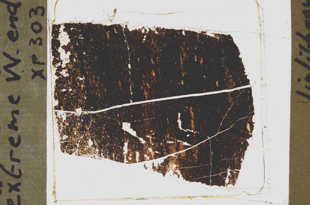Plane Polarized, S43692