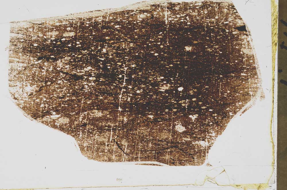Plane Polarized, S43694