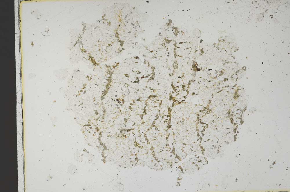 Plane Polarized, S43739