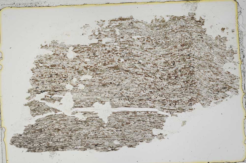 Plane Polarized, S43741