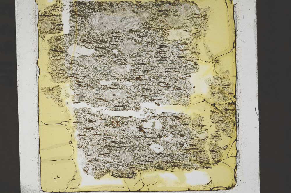 Plane Polarized, S43752
