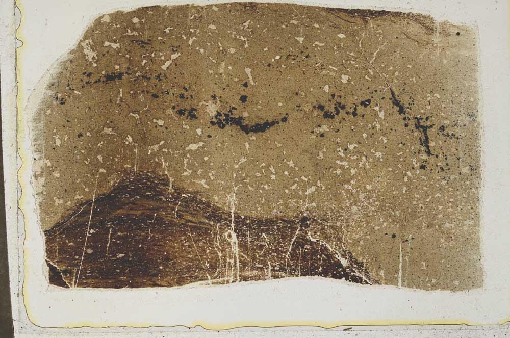 Plane Polarized, S43803