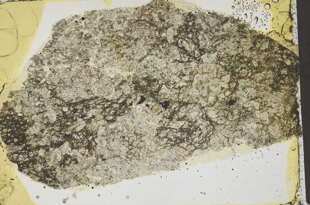 Plane Polarized, S43822