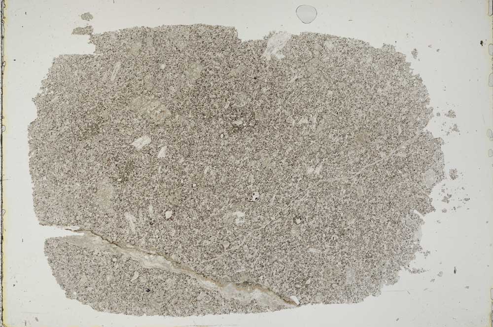 Plane Polarized, S43828